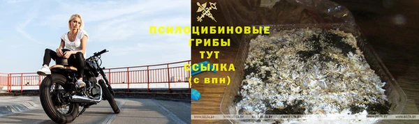прущие крисы Вязники