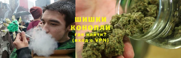 apvp Вяземский