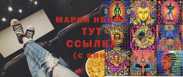 apvp Вяземский