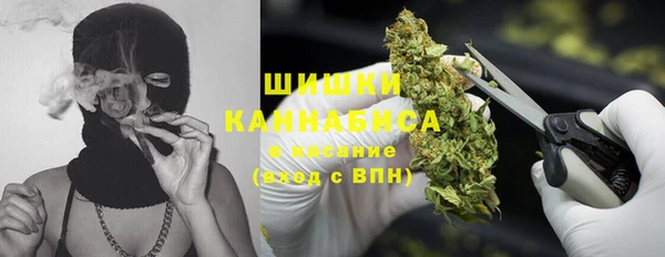 apvp Вяземский