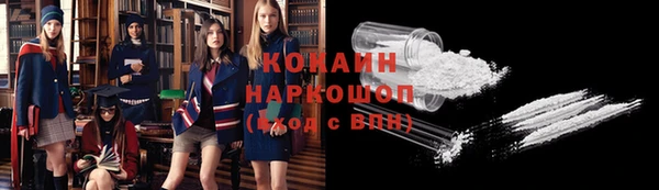 apvp Вяземский