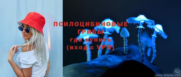 apvp Вяземский