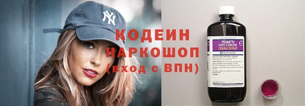 apvp Вяземский