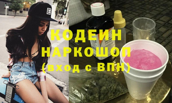 apvp Вяземский