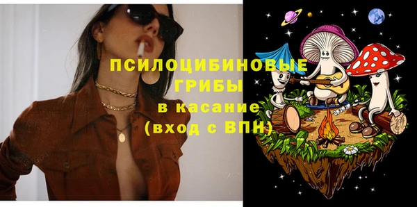 apvp Вяземский