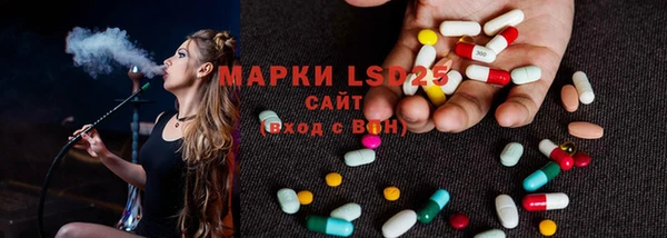 apvp Вяземский