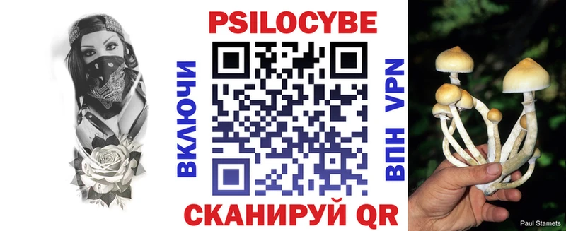 Галлюциногенные грибы Psilocybe  Купить закладки  Котельниково 